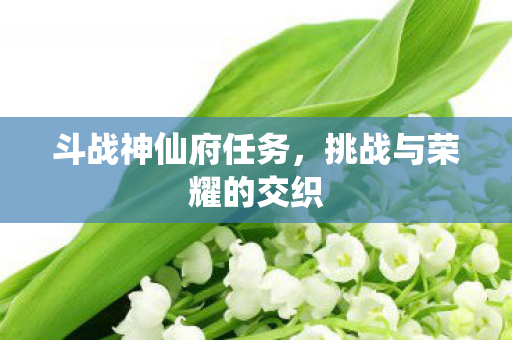 斗战神仙府任务，挑战与荣耀的交织