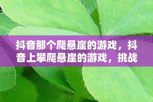 抖音那个爬悬崖的游戏，抖音上攀爬悬崖的游戏，挑战极限，探索未知