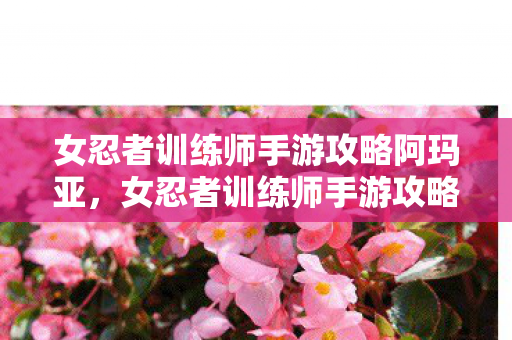 女忍者训练师手游攻略阿玛亚,女忍者训练师手游攻略,打造最强忍者的秘密 女忍者训练师手游攻略阿玛亚,女忍者训练师手游攻略,打造最强忍者的秘密