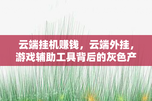 云端挂机赚钱,云端外挂,游戏辅助工具背后的灰色产业链 云端挂机赚钱,云端外挂,游戏辅助工具背后的灰色产业链
