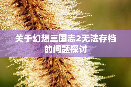 关于幻想三国志2无法存档的问题探讨 关于幻想三国志2无法存档的问题探讨