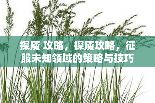 探魇 攻略,探魇攻略,征服未知领域的策略与技巧 探魇 攻略,探魇攻略,征服未知领域的策略与技巧