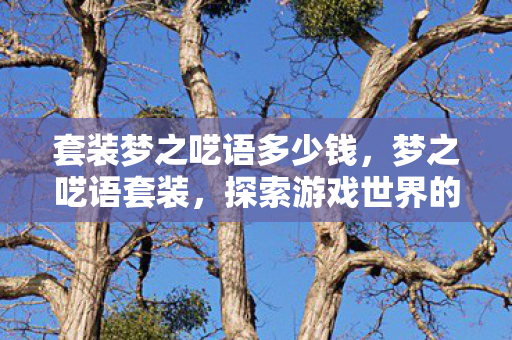套装梦之呓语多少钱,梦之呓语套装,探索游戏世界的梦幻之旅 套装梦之呓语多少钱,梦之呓语套装,探索游戏世界的梦幻之旅