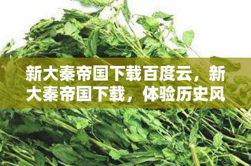 新大秦帝国下载百度云,新大秦帝国下载,体验历史风云,重塑帝国辉煌 新大秦帝国下载百度云,新大秦帝国下载,体验历史风云,重塑帝国辉煌