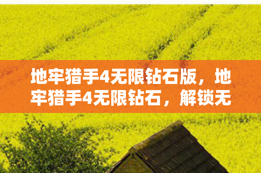 地牢猎手4无限钻石版，地牢猎手4无限钻石，解锁无限可能的冒险之旅