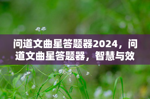 问道文曲星答题器2024,问道文曲星答题器,智慧与效率的完美结合 问道文曲星答题器2024,问道文曲星答题器,智慧与效率的完美结合