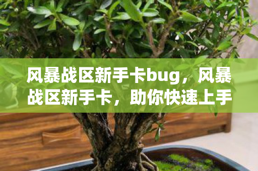 风暴战区新手卡bug,风暴战区新手卡,助你快速上手,畅游战场 风暴战区新手卡bug,风暴战区新手卡,助你快速上手,畅游战场