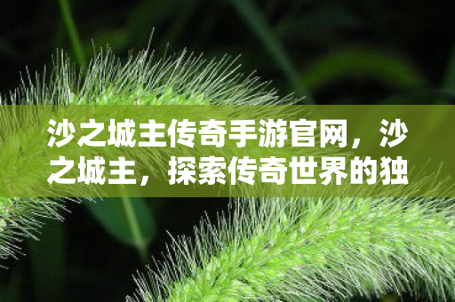 沙之城主传奇手游官网,沙之城主,探索传奇世界的独特魅力 沙之城主传奇手游官网,沙之城主,探索传奇世界的独特魅力