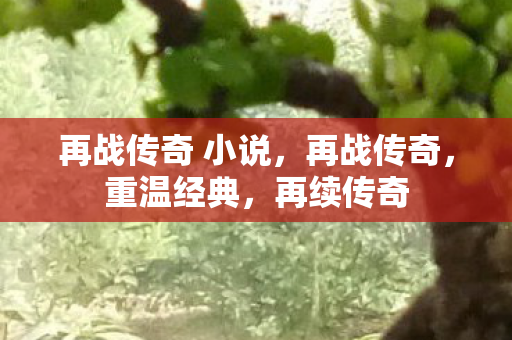 再战传奇 小说,再战传奇,重温经典,再续传奇 再战传奇 小说,再战传奇,重温经典,再续传奇