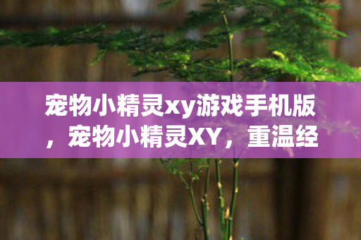 宠物小精灵xy游戏手机版,宠物小精灵XY,重温经典,探索未知的世界 宠物小精灵xy游戏手机版,宠物小精灵XY,重温经典,探索未知的世界