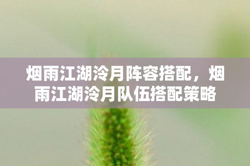 烟雨江湖泠月阵容搭配，烟雨江湖泠月队伍搭配策略