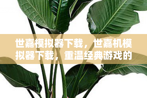 世嘉模拟器下载,世嘉机模拟器下载,重温经典游戏的怀旧之旅 世嘉模拟器下载,世嘉机模拟器下载,重温经典游戏的怀旧之旅