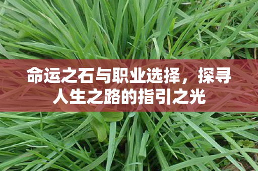 命运之石与职业选择,探寻人生之路的指引之光 命运之石与职业选择,探寻人生之路的指引之光