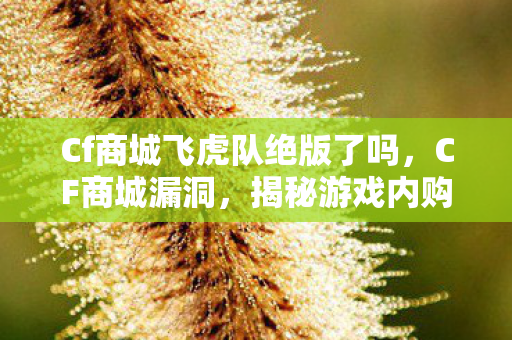 Cf商城飞虎队绝版了吗,CF商城漏洞,揭秘游戏内购的意外之喜 Cf商城飞虎队绝版了吗,CF商城漏洞,揭秘游戏内购的意外之喜