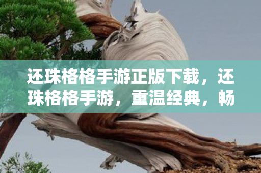 还珠格格手游正版下载,还珠格格手游,重温经典,畅游宫廷的奇妙之旅 还珠格格手游正版下载,还珠格格手游,重温经典,畅游宫廷的奇妙之旅