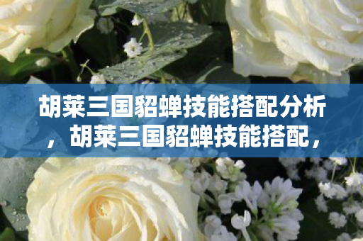 胡莱三国貂蝉技能搭配分析,胡莱三国貂蝉技能搭配,打造最强辅助的秘籍 胡莱三国貂蝉技能搭配分析,胡莱三国貂蝉技能搭配,打造最强辅助的秘籍
