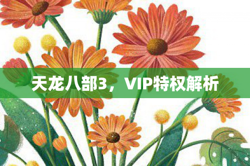 天龙八部3，VIP特权解析
