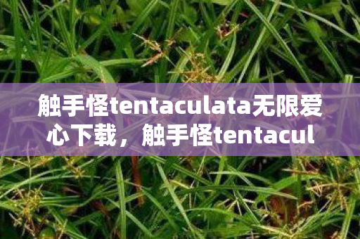 触手怪tentaculata无限爱心下载,触手怪tentaculata,探索无限爱心的奇幻之旅 触手怪tentaculata无限爱心下载,触手怪tentaculata,探索无限爱心的奇幻之旅