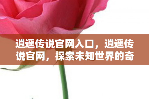 逍遥传说官网入口，逍遥传说官网，探索未知世界的奇幻之旅