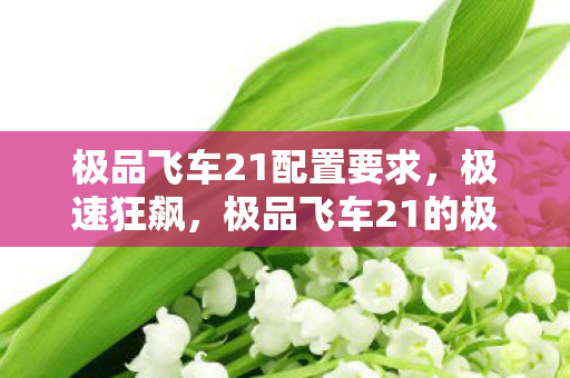 极品飞车21配置要求,极速狂飙,极品飞车21的极致体验 极品飞车21配置要求,极速狂飙,极品飞车21的极致体验