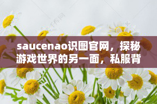 saucenao识图官网,探秘游戏世界的另一面,私服背后的故事 saucenao识图官网,探秘游戏世界的另一面,私服背后的故事
