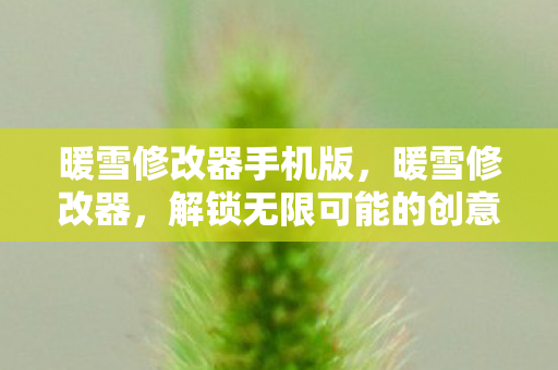 暖雪修改器手机版，暖雪修改器，解锁无限可能的创意工具