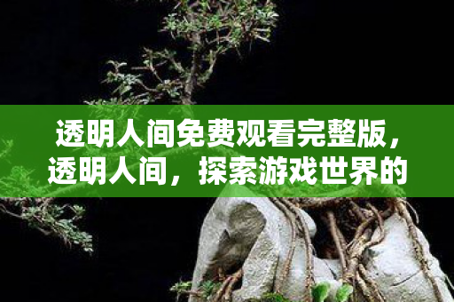 透明人间免费观看完整版,透明人间,探索游戏世界的多元体验 透明人间免费观看完整版,透明人间,探索游戏世界的多元体验