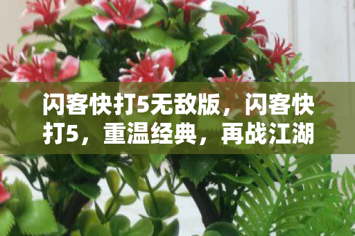 闪客快打5无敌版,闪客快打5,重温经典,再战江湖 闪客快打5无敌版,闪客快打5,重温经典,再战江湖