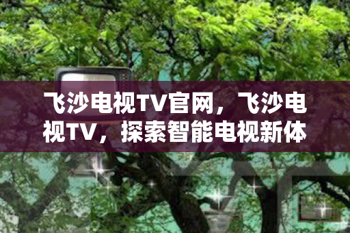 飞沙电视TV官网，飞沙电视TV，探索智能电视新体验