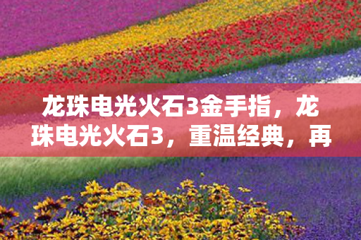 龙珠电光火石3金手指,龙珠电光火石3,重温经典,再战江湖 龙珠电光火石3金手指,龙珠电光火石3,重温经典,再战江湖