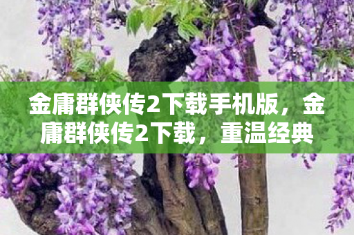 金庸群侠传2下载手机版，金庸群侠传2下载，重温经典，再续江湖情缘