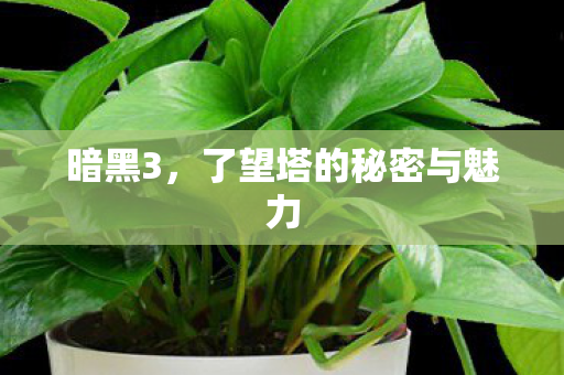 暗黑3,了望塔的秘密与魅力 暗黑3,了望塔的秘密与魅力