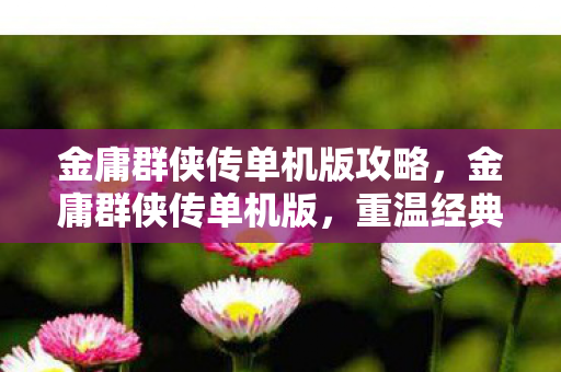 金庸群侠传单机版攻略,金庸群侠传单机版,重温经典,畅游武侠世界 金庸群侠传单机版攻略,金庸群侠传单机版,重温经典,畅游武侠世界