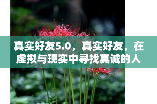 真实好友5.0,真实好友,在虚拟与现实中寻找真诚的人际纽带 真实好友5.0,真实好友,在虚拟与现实中寻找真诚的人际纽带