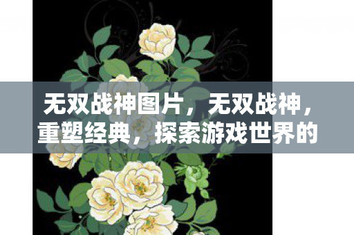 无双战神图片,无双战神,重塑经典,探索游戏世界的无限可能 无双战神图片,无双战神,重塑经典,探索游戏世界的无限可能