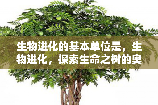 生物进化的基本单位是，生物进化，探索生命之树的奥秘