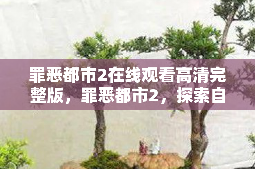 罪恶都市2在线观看高清完整版，罪恶都市2，探索自由与混乱的边界