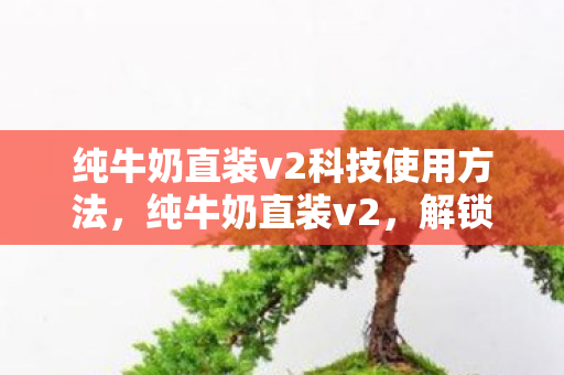 纯牛奶直装v2科技使用方法，纯牛奶直装v2，解锁游戏新体验，安全便捷的选择