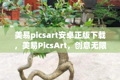 美易picsart安卓正版下载，美易PicsArt，创意无限的图片编辑神器