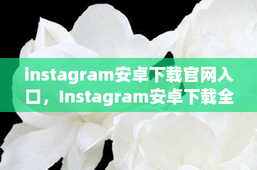 instagram安卓下载官网入口,Instagram安卓下载全攻略,轻松获取官方应用 instagram安卓下载官网入口,Instagram安卓下载全攻略,轻松获取官方应用