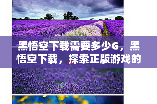 黑悟空下载需要多少G，黑悟空下载，探索正版游戏的便捷途径