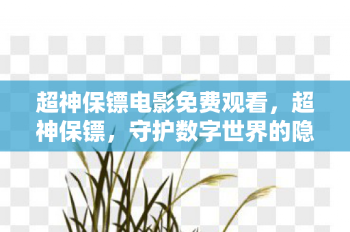 超神保镖电影免费观看,超神保镖,守护数字世界的隐形盾牌 超神保镖电影免费观看,超神保镖,守护数字世界的隐形盾牌