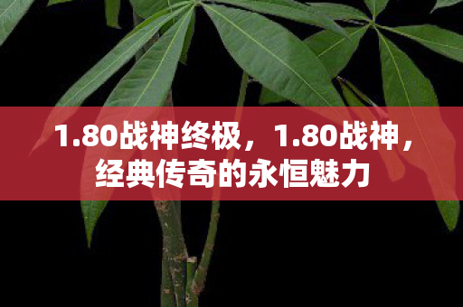 1.80战神终极，1.80战神，经典传奇的永恒魅力