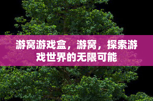 游窝游戏盒，游窝，探索游戏世界的无限可能