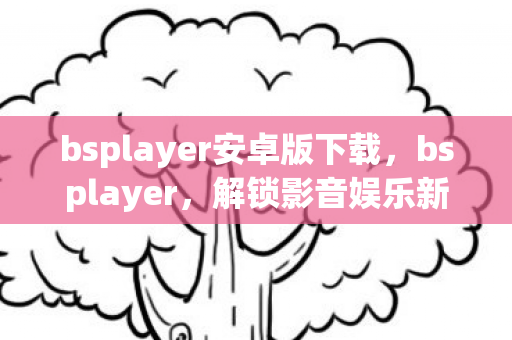 bsplayer安卓版下载，bsplayer，解锁影音娱乐新体验