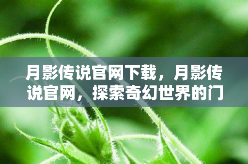 月影传说官网下载,月影传说官网,探索奇幻世界的门户 月影传说官网下载,月影传说官网,探索奇幻世界的门户