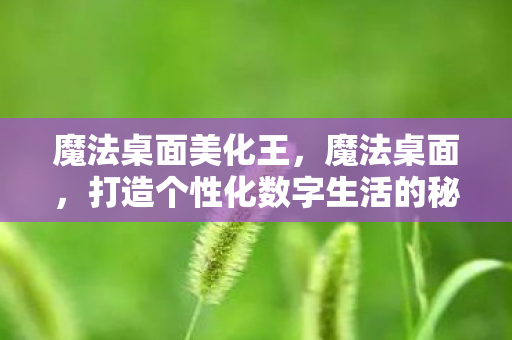 魔法桌面美化王，魔法桌面，打造个性化数字生活的秘密武器