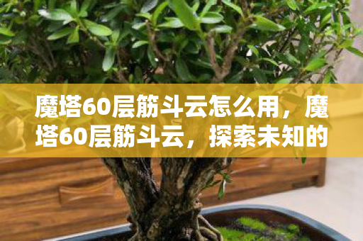魔塔60层筋斗云怎么用,魔塔60层筋斗云,探索未知的挑战与冒险 魔塔60层筋斗云怎么用,魔塔60层筋斗云,探索未知的挑战与冒险