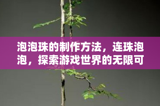 泡泡珠的制作方法,连珠泡泡,探索游戏世界的无限可能 泡泡珠的制作方法,连珠泡泡,探索游戏世界的无限可能
