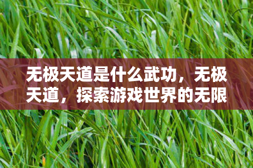 无极天道是什么武功,无极天道,探索游戏世界的无限可能 无极天道是什么武功,无极天道,探索游戏世界的无限可能